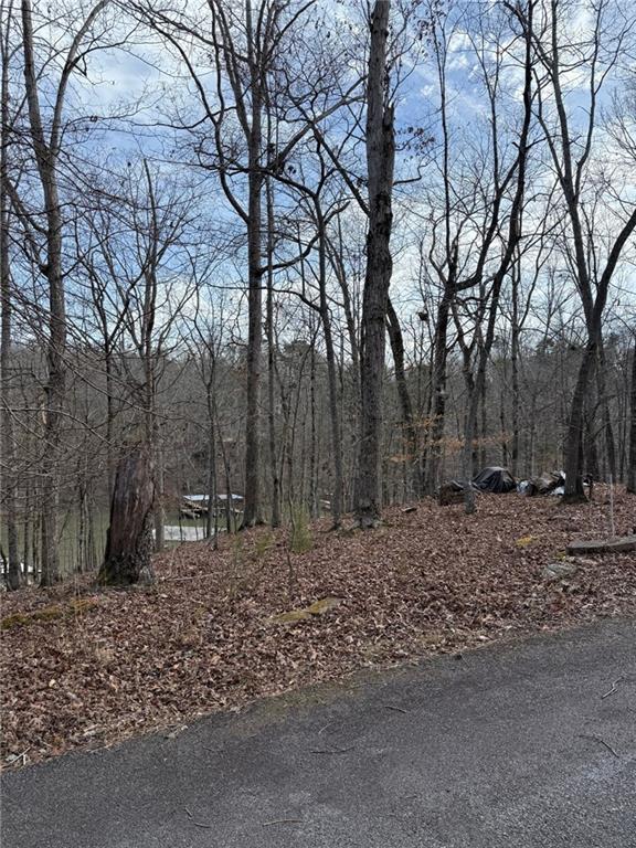 3477 Mckenzie Dr, Gainesville GA, 30506 land for sale