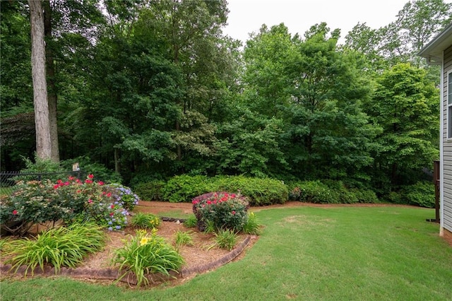 223 Oak Grove Dr, Dallas, GA 30157 - view of grassy yard