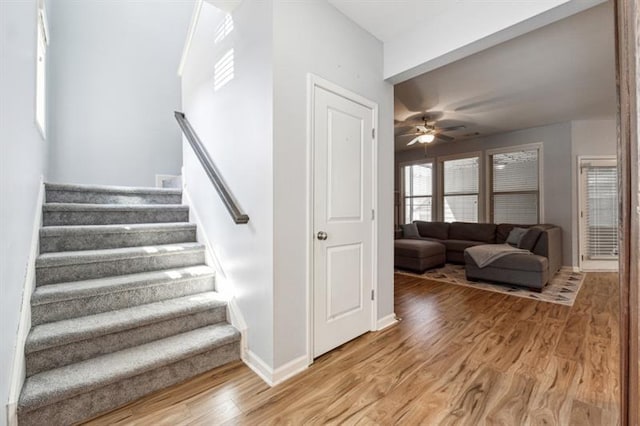 staircase with wood finished floors, a ceiling fan, and baseboards