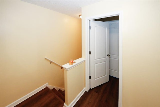 stairway featuring wood-type flooring