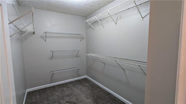 walk in closet featuring carpet floors