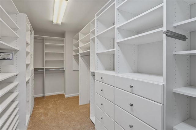 spacious closet featuring light colored carpet