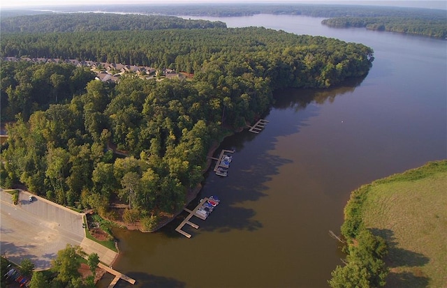 bird's eye view with a view of trees and a water view