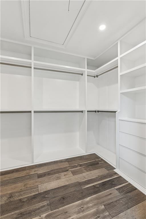 spacious closet with dark wood finished floors and attic access