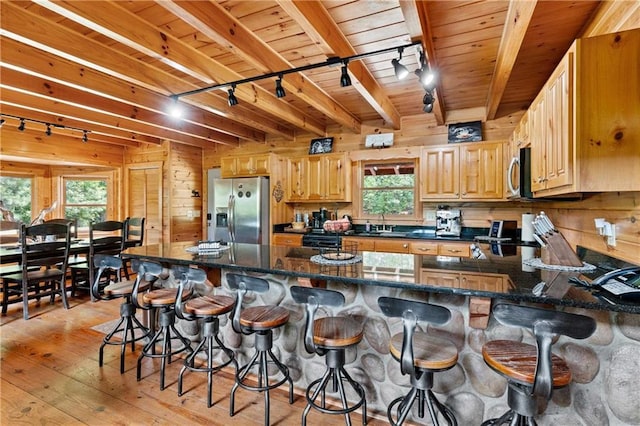 kitchen with a healthy amount of sunlight, stainless steel appliances, track lighting, and light wood-type flooring