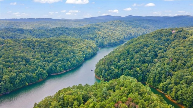 drone / aerial view with a water and mountain view