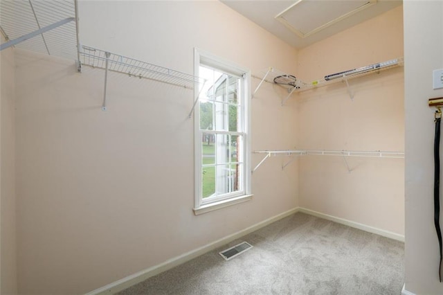 spacious closet with carpet flooring and attic access