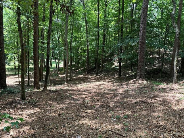 383 Liberty Grove Rd, Alpharetta, GA 30004