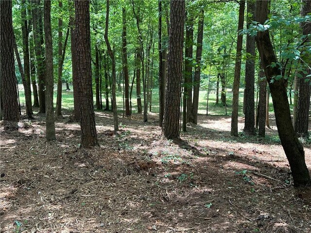 383 Liberty Grove Rd, Alpharetta, GA 30004