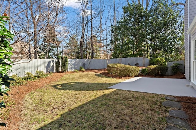 view of yard featuring a fenced backyard and a patio