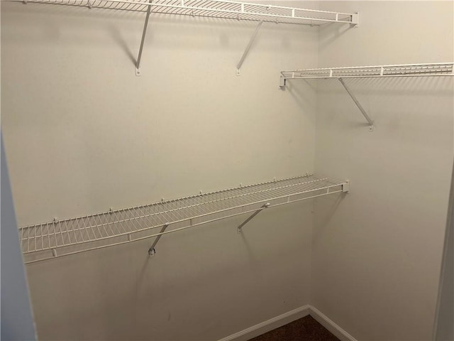 5000 Saxony Ct, Stone Mountain, GA 30083 - view of spacious closet