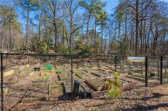 view of yard with fence and a vegetable garden