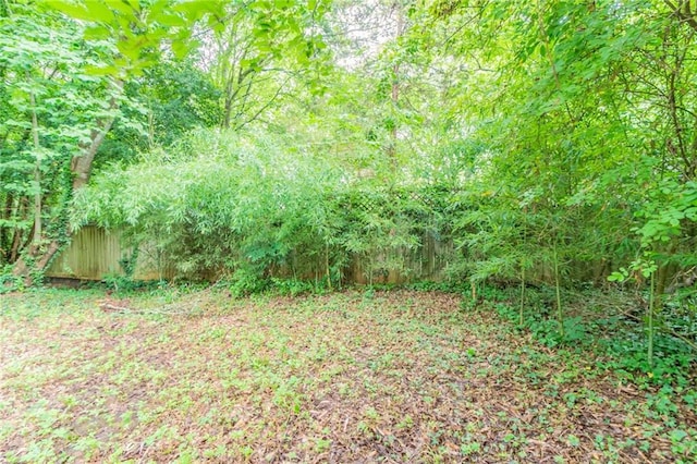5218 Tina Ct, Stone Mountain, GA 30083 - view of nature