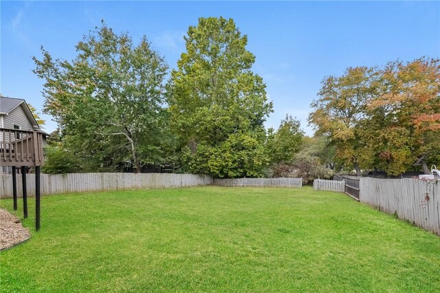 view of yard