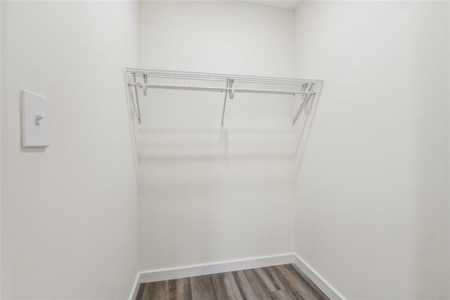 spacious closet featuring hardwood / wood-style floors