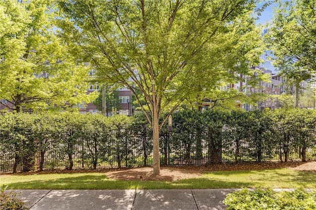 1012 E Paces Chase, Atlanta, GA 30326 - view of yard