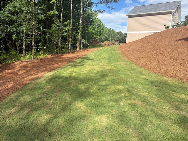 4786 Conns Creek Rd, Ball Ground, GA 30107 - view of green lawn