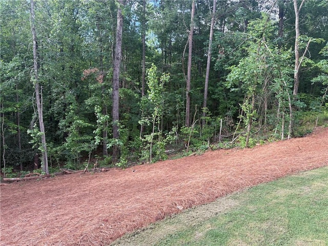 4786 Conns Creek Rd, Ball Ground, GA 30107 - view of wooded area