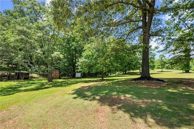 view of grassy yard featuring a shed, an outdoor structure, and view of wooded area
