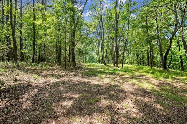 view of tree filled area