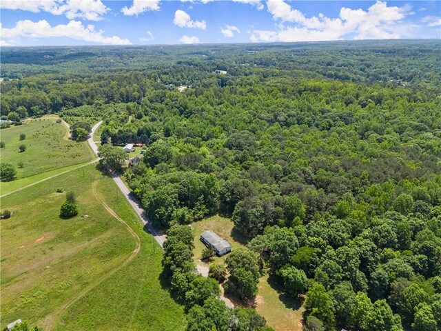 bird's eye view of a forest