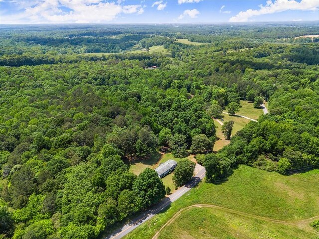 drone / aerial view of a forest