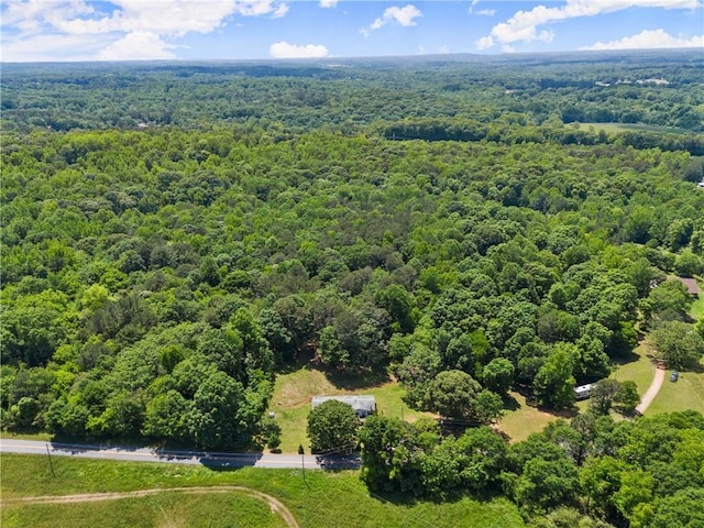 bird's eye view of a forest