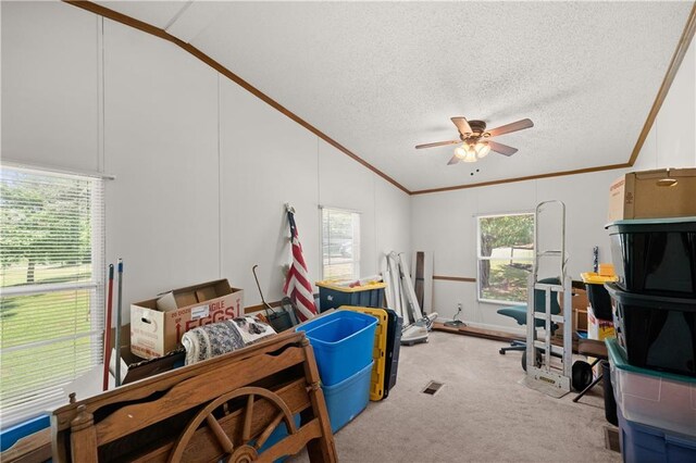 exercise room featuring lofted ceiling, crown molding, ceiling fan, carpet, and a textured ceiling