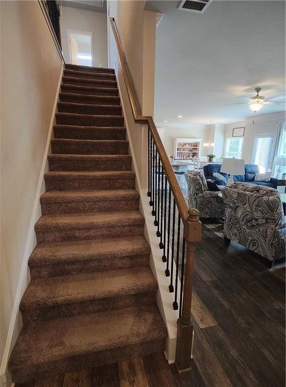13 Mulberry Way, Cartersville, GA 30120 - staircase with wood finished floors and a ceiling fan