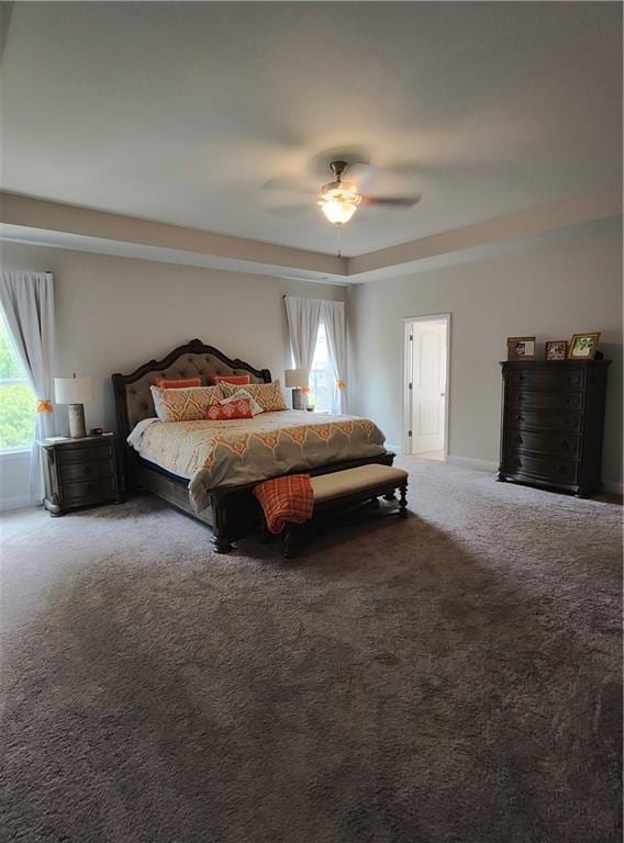 13 Mulberry Way, Cartersville, GA 30120 - bedroom with carpet floors, multiple windows, ceiling fan, and baseboards