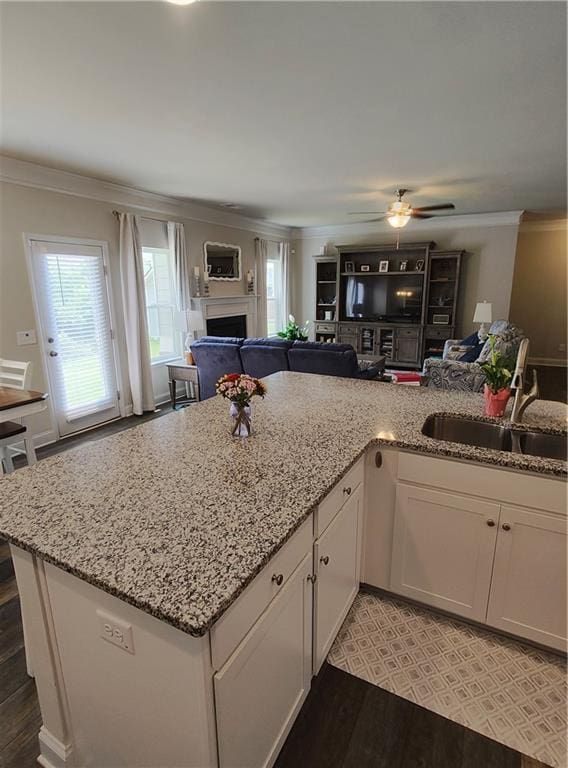 13 Mulberry Way, Cartersville, GA 30120 - kitchen featuring a sink, ornamental molding, open floor plan, white cabinets, and a ceiling fan