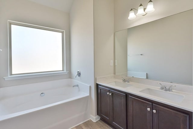 bathroom with vanity and a bathing tub