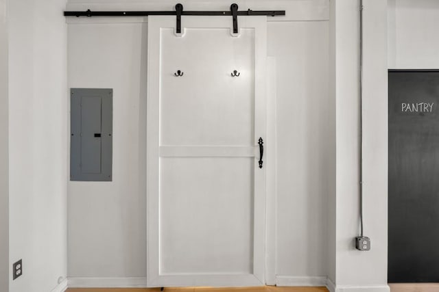 room details with electric panel and a barn door