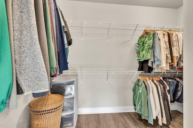 2980 Beards Rd, Buford, GA 30518 - walk in closet with wood finished floors