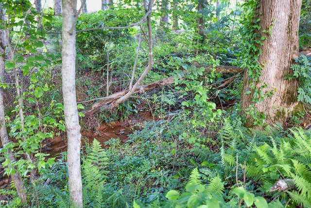 2980 Beards Rd, Buford, GA 30518 - view of undeveloped land