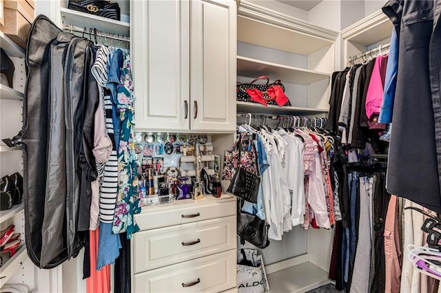 view of walk in closet