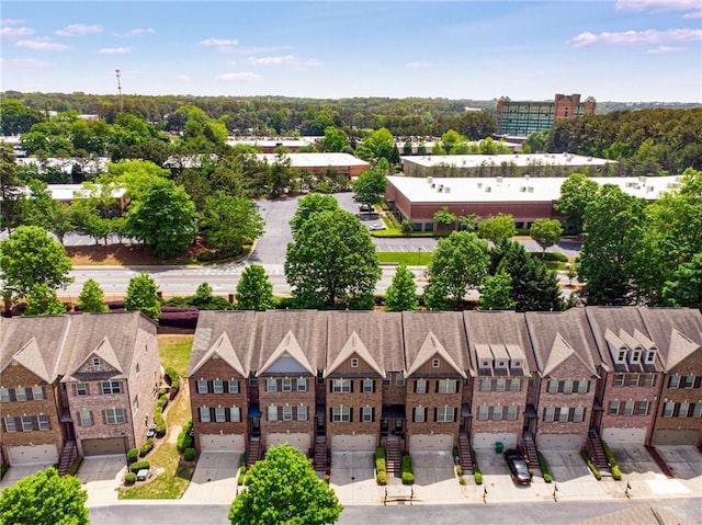 drone / aerial view