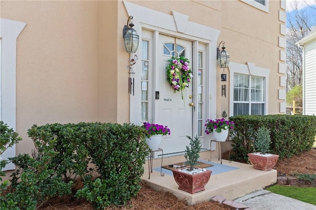 entrance to property featuring stucco siding