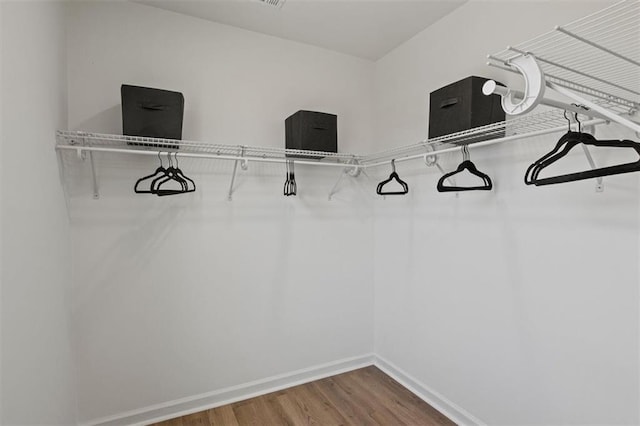 walk in closet featuring wood finished floors
