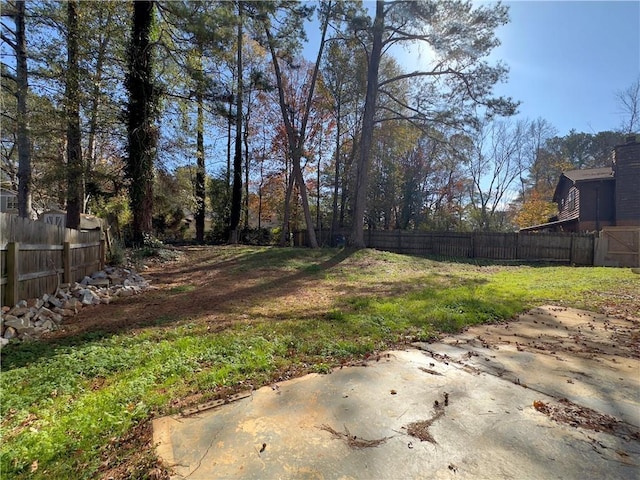 view of yard featuring a patio area