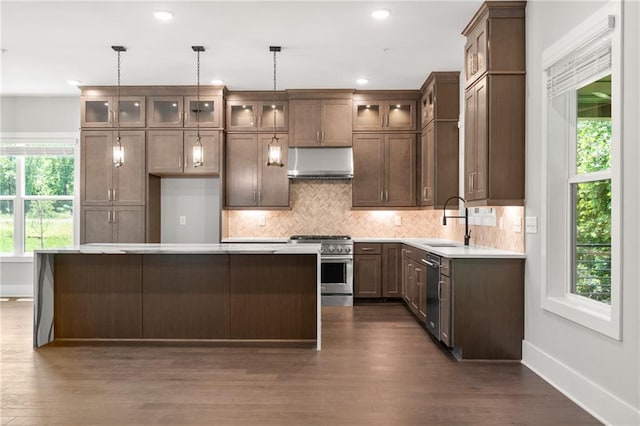 kitchen featuring under cabinet range hood, a sink, appliances with stainless steel finishes, tasteful backsplash, and glass insert cabinets