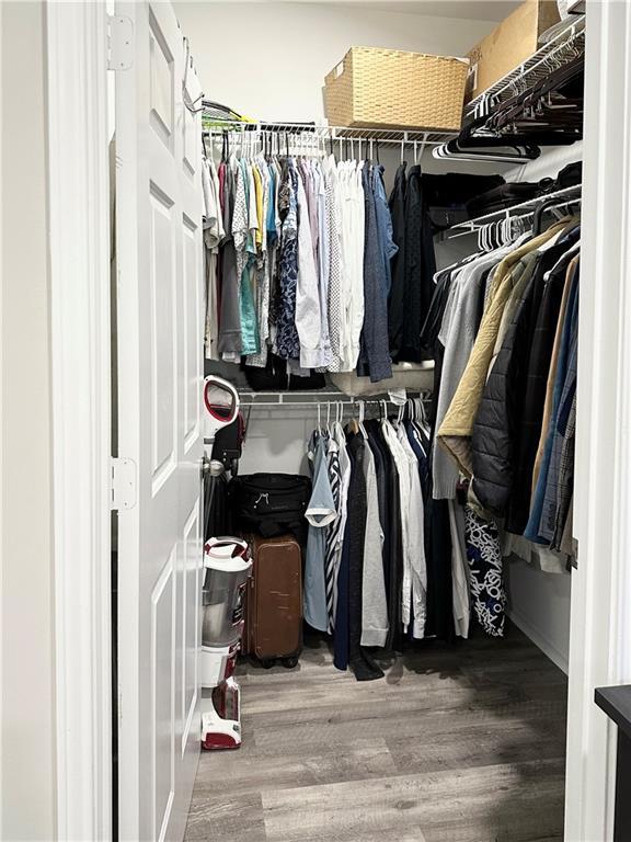 walk in closet featuring wood finished floors