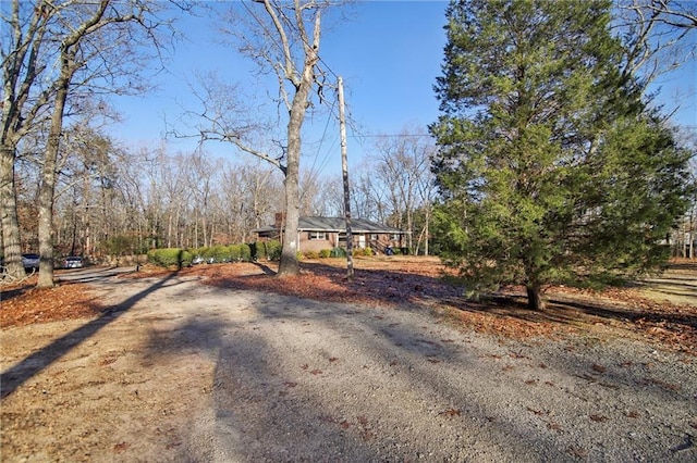 exterior space featuring dirt driveway