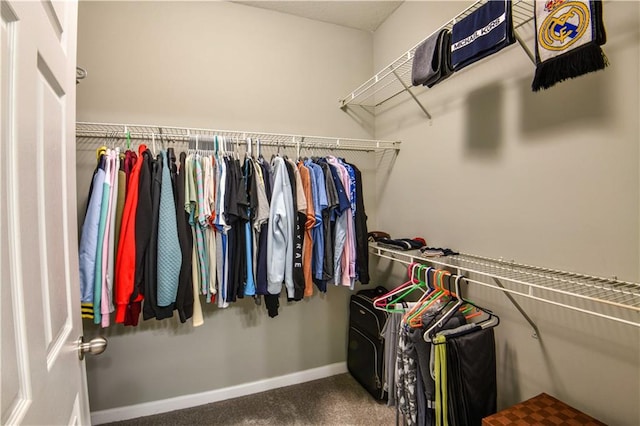 walk in closet featuring carpet floors