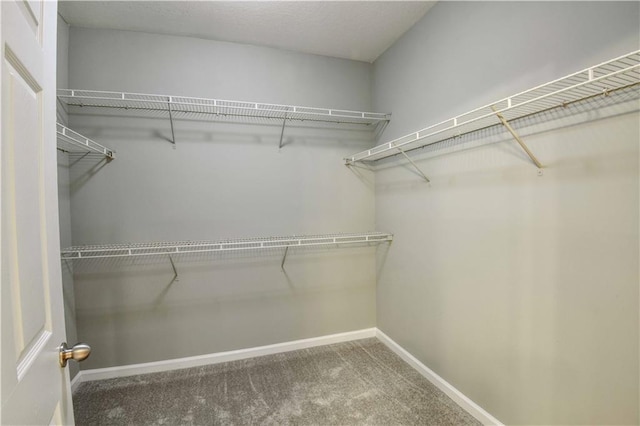 walk in closet with carpet flooring