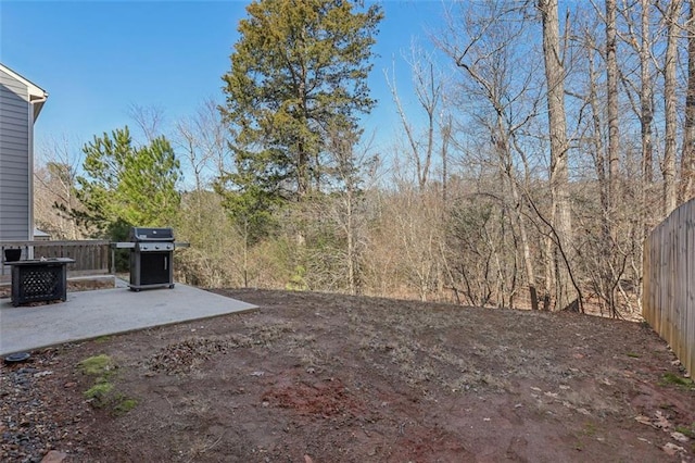 view of yard featuring a patio area