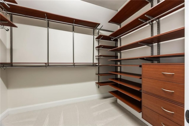 spacious closet featuring light carpet