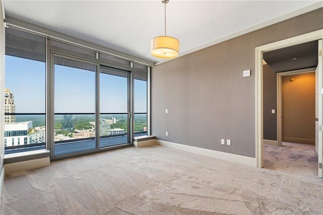 spare room with carpet and a healthy amount of sunlight