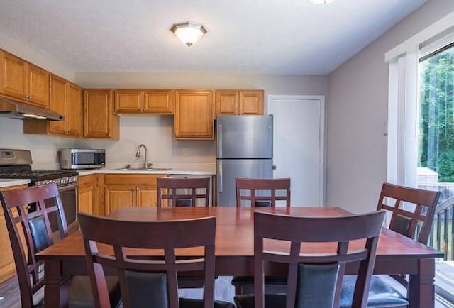 kitchen featuring a sink, light countertops, under cabinet range hood, and stainless steel appliances