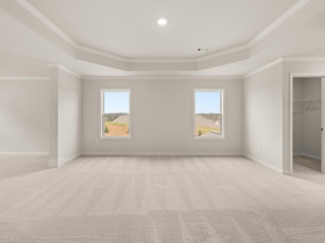 64 Parkview Dr, Dallas, GA 30157 - empty room featuring light carpet, plenty of natural light, ornamental molding, and a raised ceiling